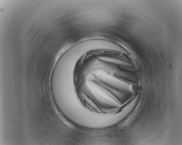 X0000072530858200608041555