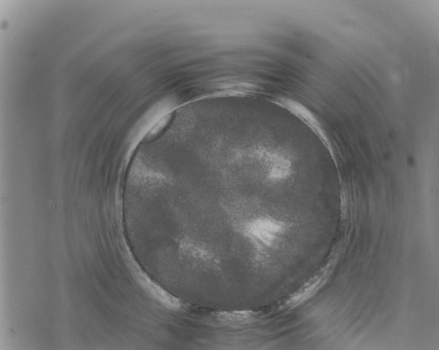 X0000072530859200608041555