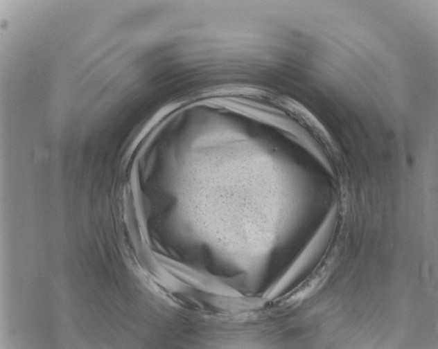 X0000072530860200608041555