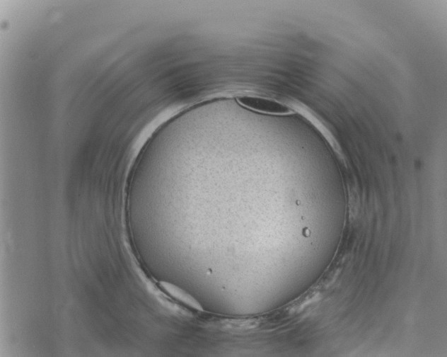 X0000072530861200608041555