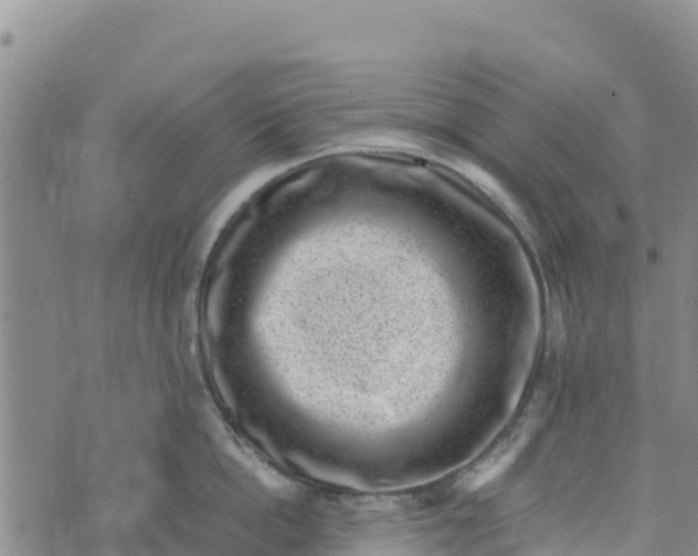 X0000072530862200608041555