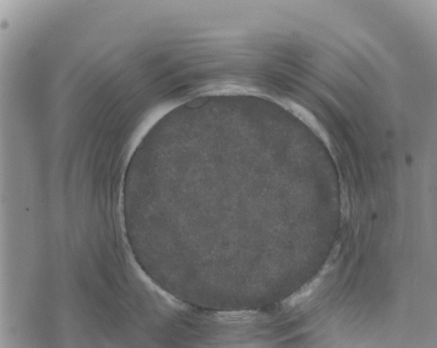 X0000072530863200608041555