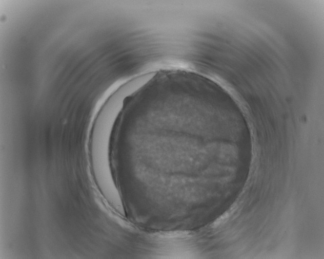 X0000072530864200608041555