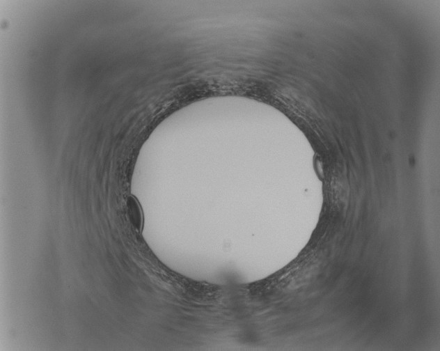 X0000072530865200608041555