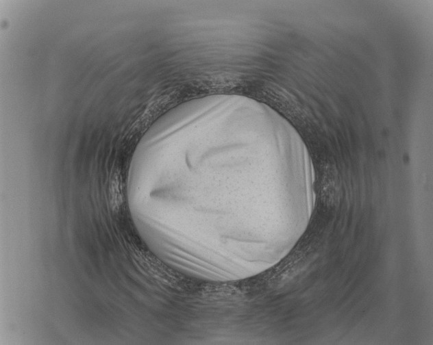 X0000072530866200608041555