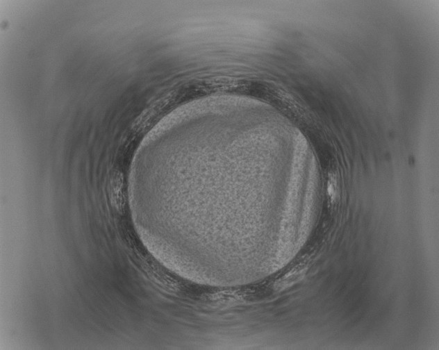 X0000072530867200608041555