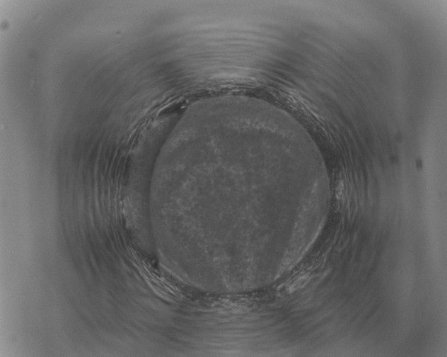 X0000072530868200608041555