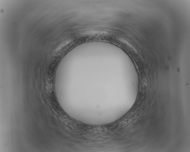 X0000072530869200608041554