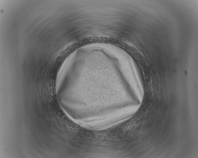 X0000072530870200608041554