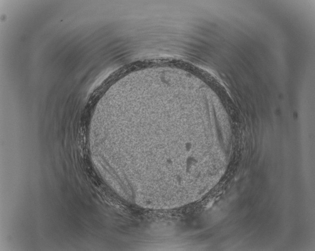 X0000072530871200608041554