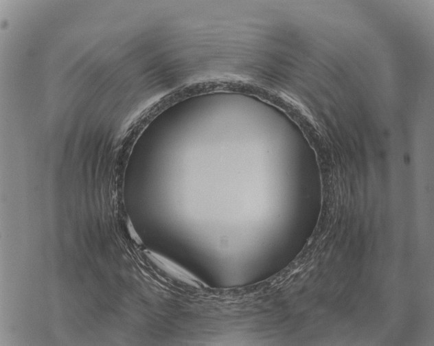 X0000072530872200608041554