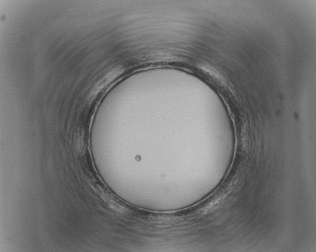 X0000072530873200608041554