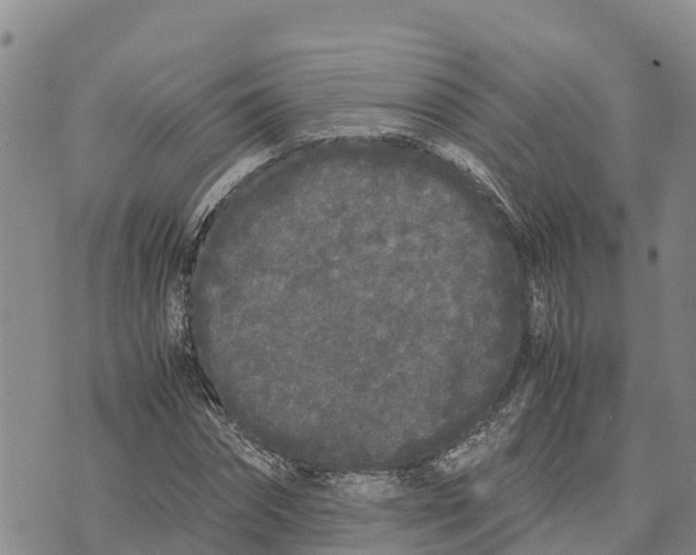 X0000072530874200608041554