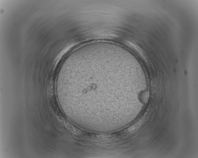 X0000072530875200608041554