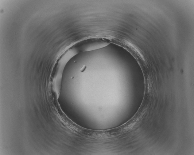 X0000072530876200608041554