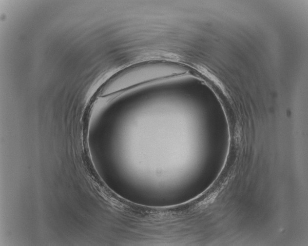 X0000072530877200608041554