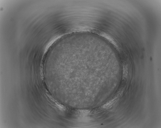 X0000072530878200608041554