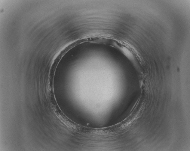 X0000072530880200608041554