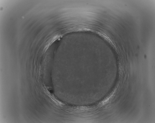 X0000072530881200608041554