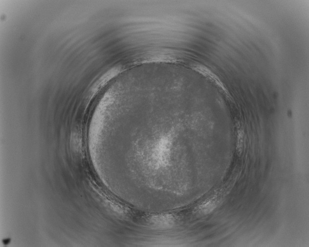 X0000072530882200608041554