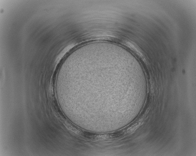 X0000072530883200608041554