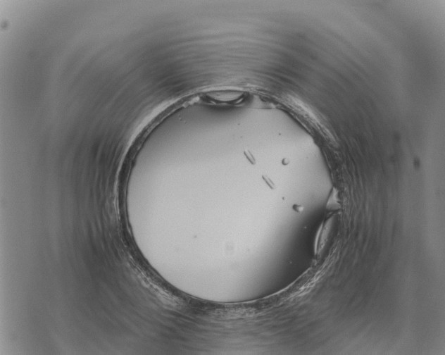 X0000072530884200608041554