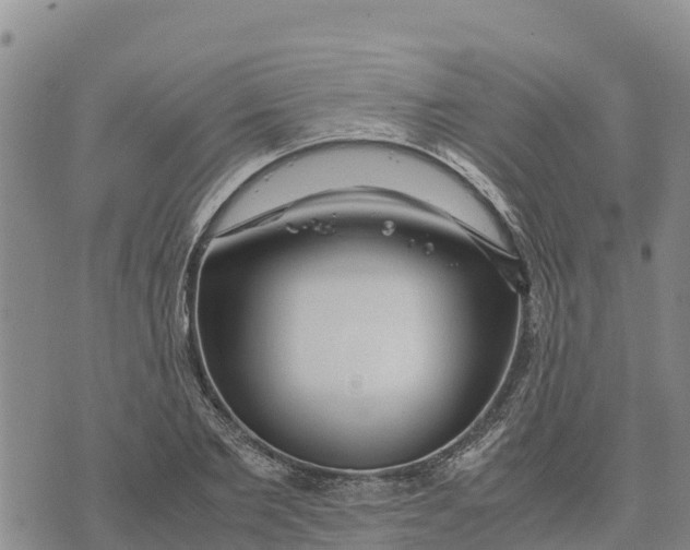 X0000072530885200608041554