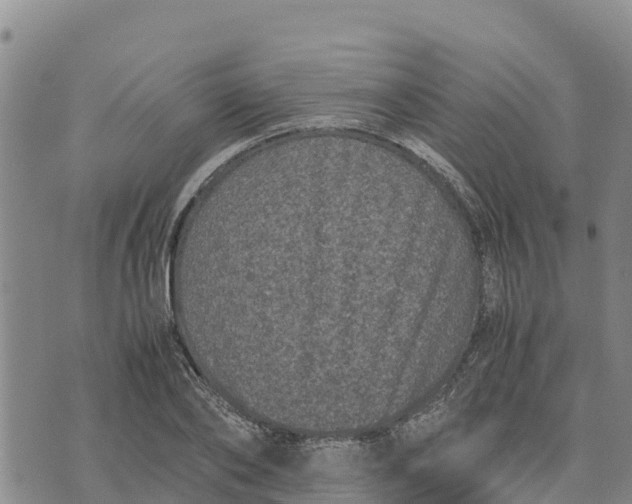 X0000072530886200608041554