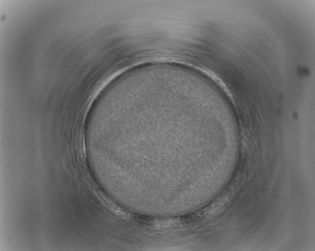 X0000072530887200608041554