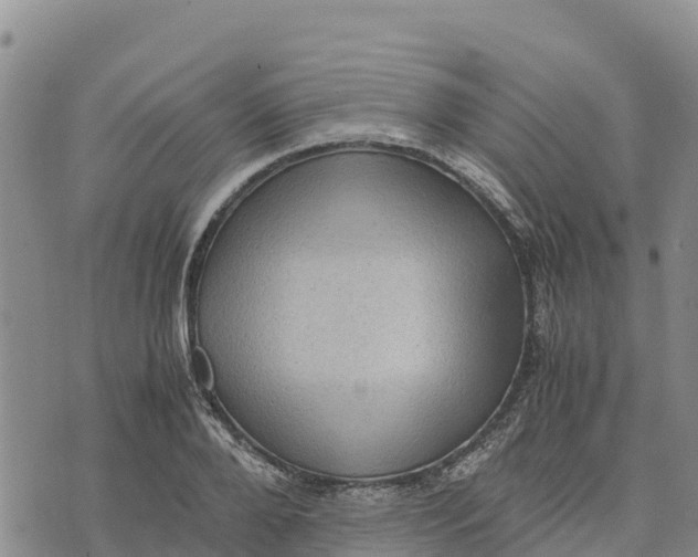 X0000072530888200608041554