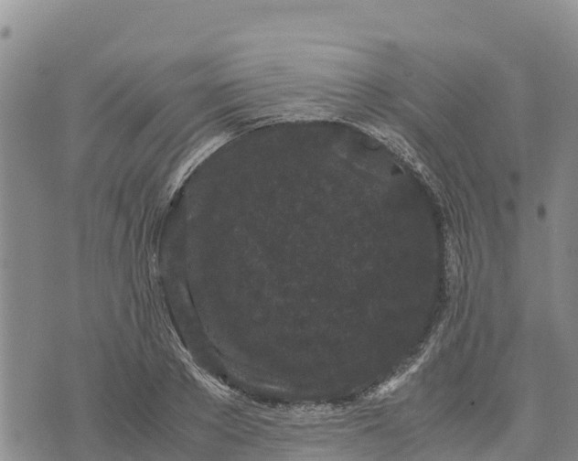 X0000072530889200608041554