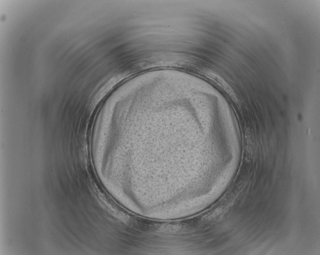 X0000072530890200608041554