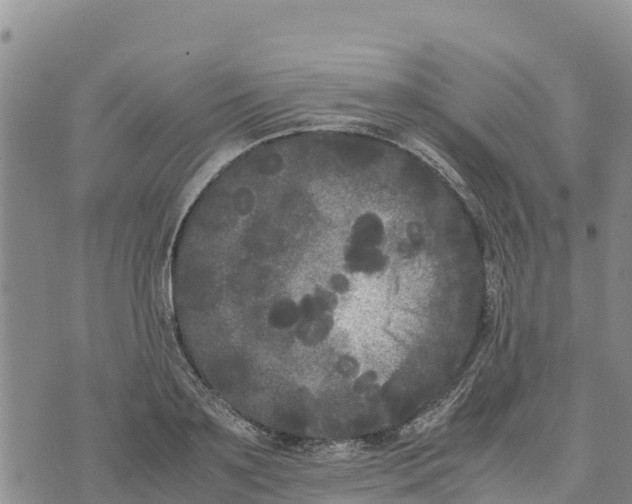 X0000072530891200608041554