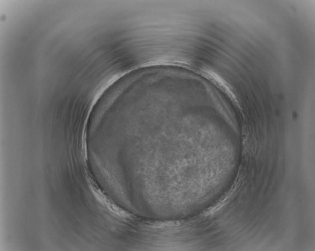 X0000072530892200608041554