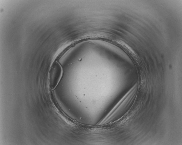 X0000072530894200608041554