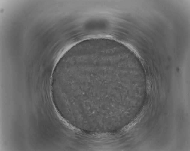 X0000072530895200608041554