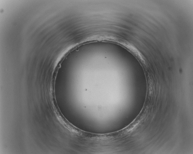 X0000072530896200608041554