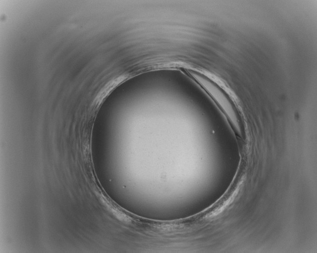 X0000072530897200608041554