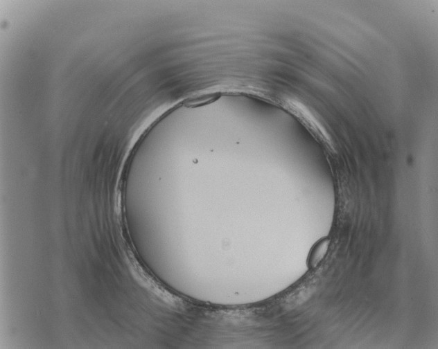 X0000072530900200608041554