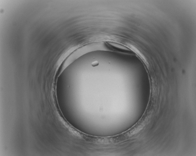 X0000072530901200608041554