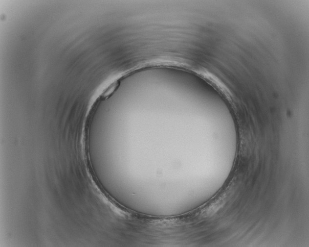 X0000072530902200608041554