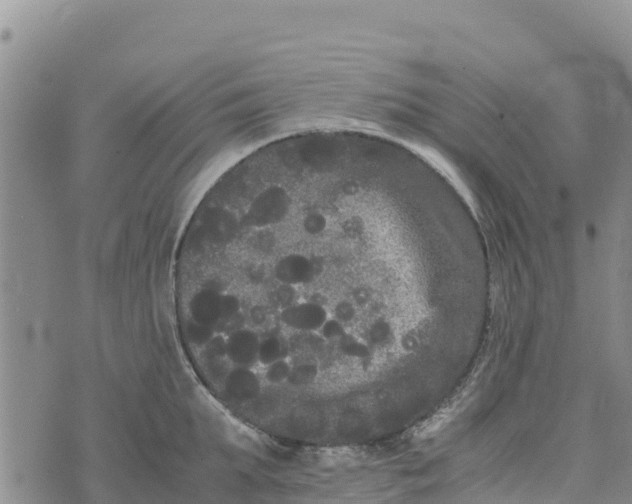 X0000072530903200608041554