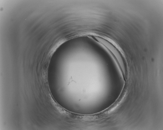 X0000072530905200608041554