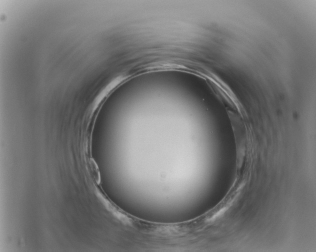 X0000072530909200608041554