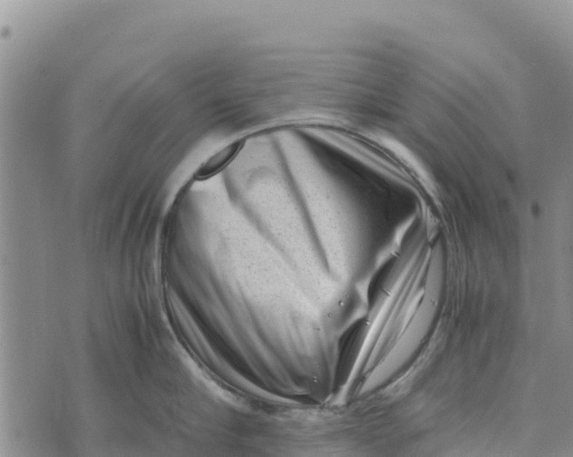 X0000072530910200608041554