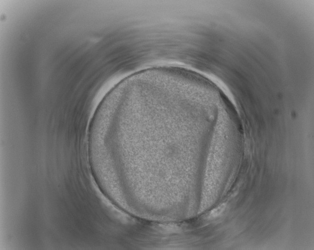 X0000072530911200608041554