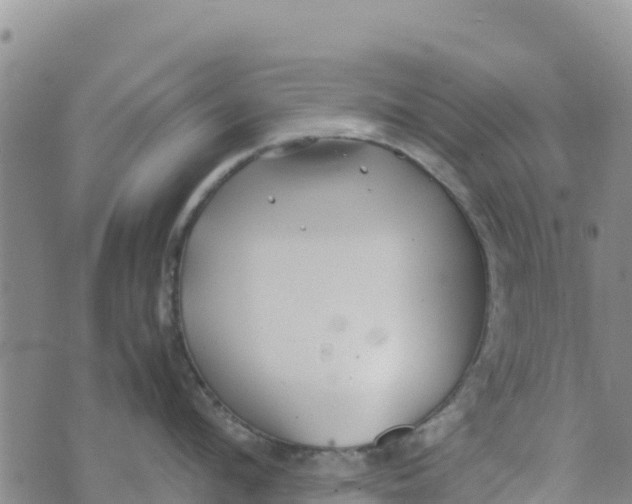 X0000072530912200608041554