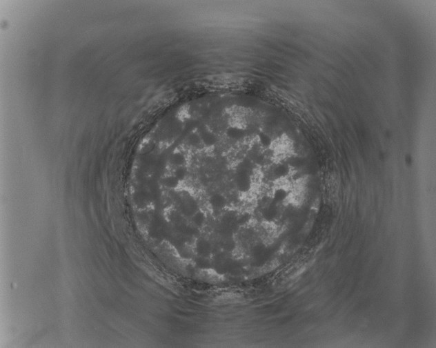 X0000072530913200608041553