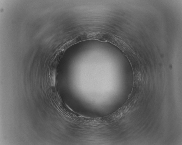 X0000072530914200608041553