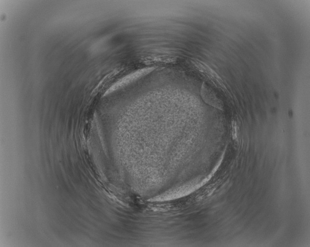 X0000072530915200608041553